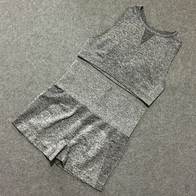 2pcs yoga sets woman sportswear stretch gym shorts-1