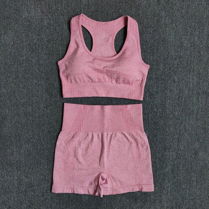 Women Seamless 2PCS Yoga Set Sports Bra High Waist Fitness Gym Shorts Gym Set Running Sportswear Workout Clothes Sports Suits-7