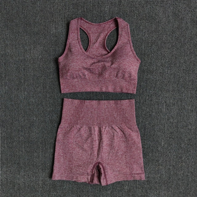 Women Seamless 2PCS Yoga Set Sports Bra High Waist Fitness Gym Shorts Gym Set Running Sportswear Workout Clothes Sports Suits-10