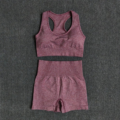 Women Seamless 2PCS Yoga Set Sports Bra High Waist Fitness Gym Shorts Gym Set Running Sportswear Workout Clothes Sports Suits-10