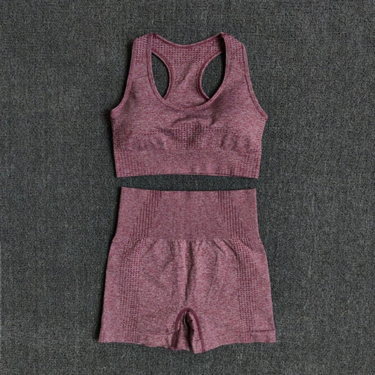 Women Seamless 2PCS Yoga Set Sports Bra High Waist Fitness Gym Shorts Gym Set Running Sportswear Workout Clothes Sports Suits-10