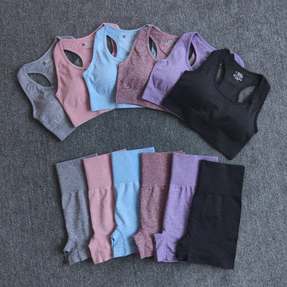 Women Seamless 2PCS Yoga Set Sports Bra High Waist Fitness Gym Shorts Gym Set Running Sportswear Workout Clothes Sports Suits-1