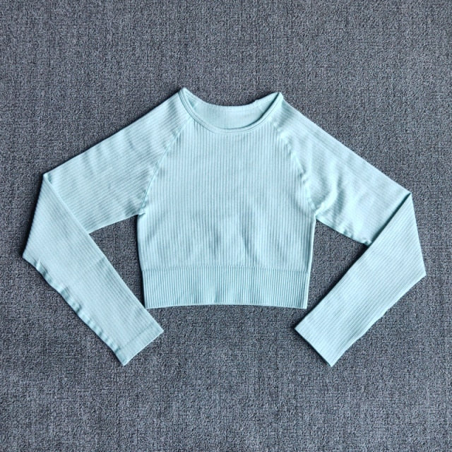 Women's Sportswear Yoga Sets Ribbed Seamless Long Sleeve Workout Clothes for Women High Waist Sports Legging Long Sleeve Top-13